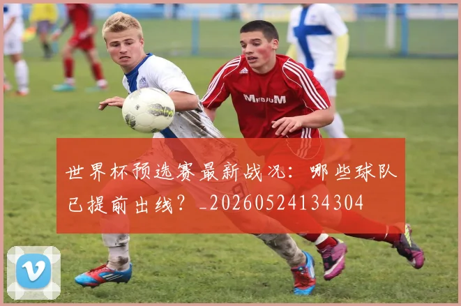世界杯预选赛最新战况：哪些球队已提前出线？_20260524134304