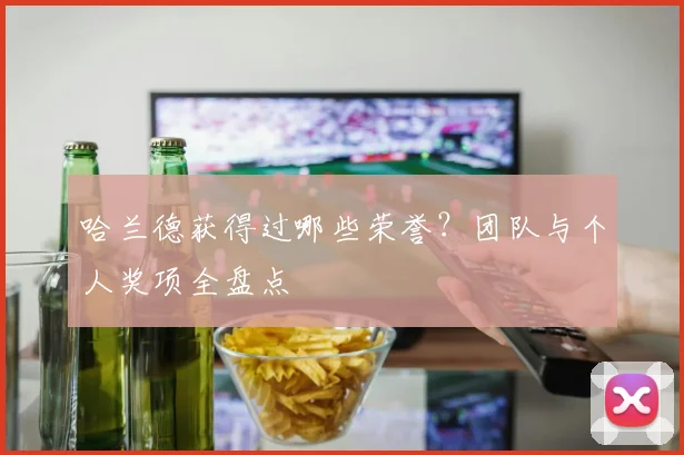 哈兰德获得过哪些荣誉？团队与个人奖项全盘点